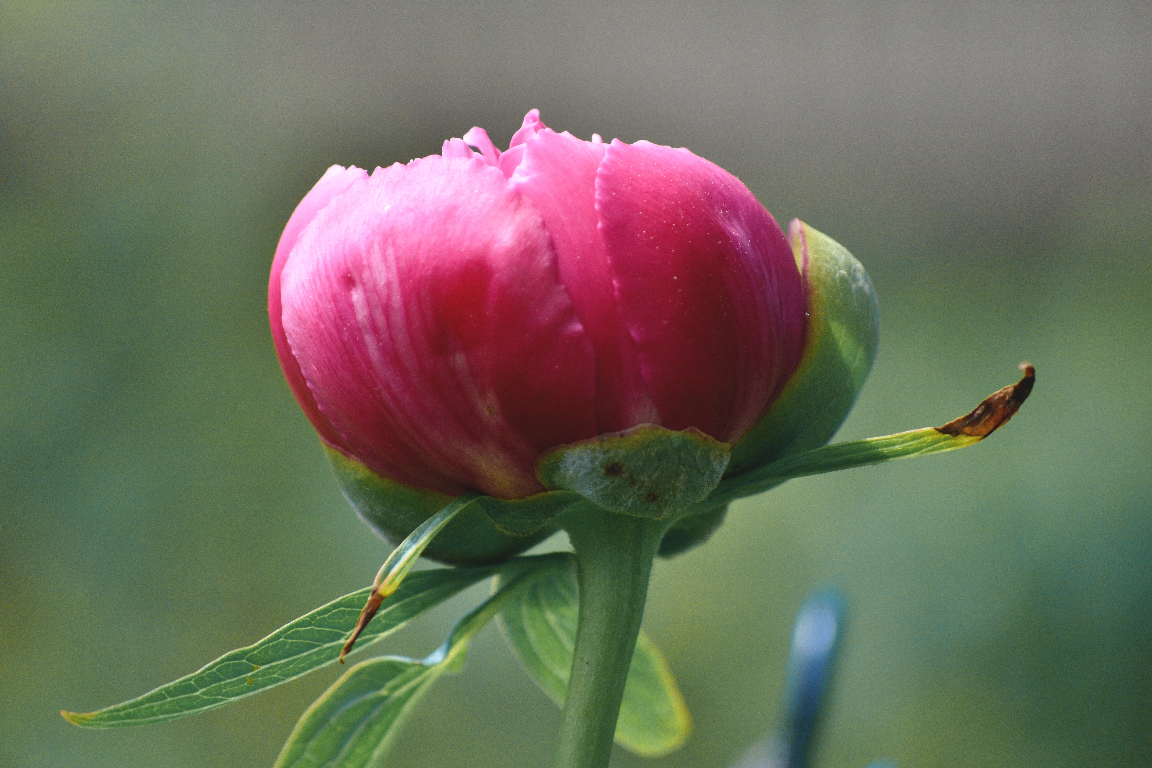 Guide d'achat du printemps