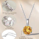FANCIME “Everbloom” Pendentif en Citrine de Novembre en Or Blanc 14K avec Chaîne en Argent Sterling